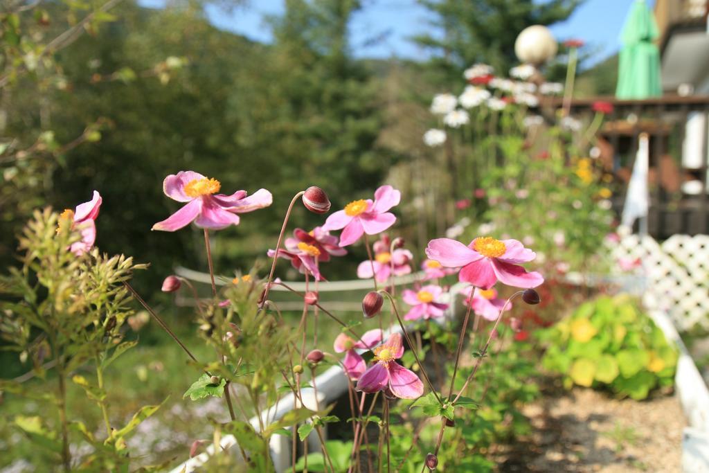 Secret Pension 平昌郡 エクステリア 写真