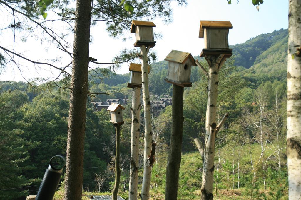 Secret Pension 平昌郡 エクステリア 写真