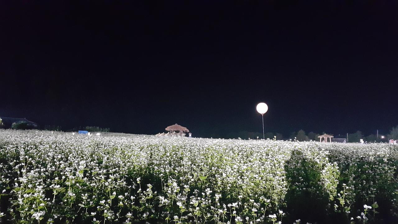 Secret Pension 平昌郡 エクステリア 写真