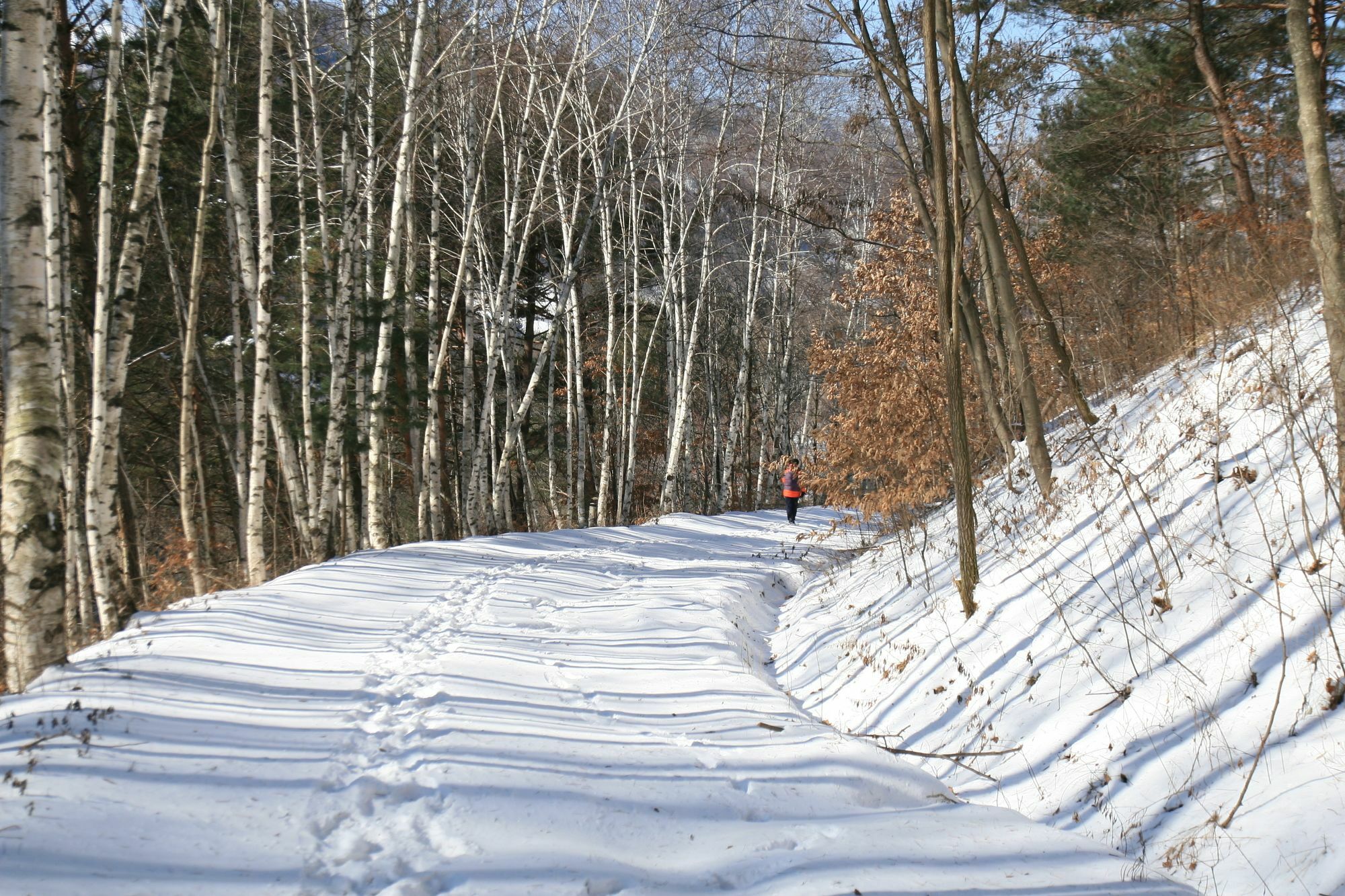 Secret Pension 平昌郡 エクステリア 写真